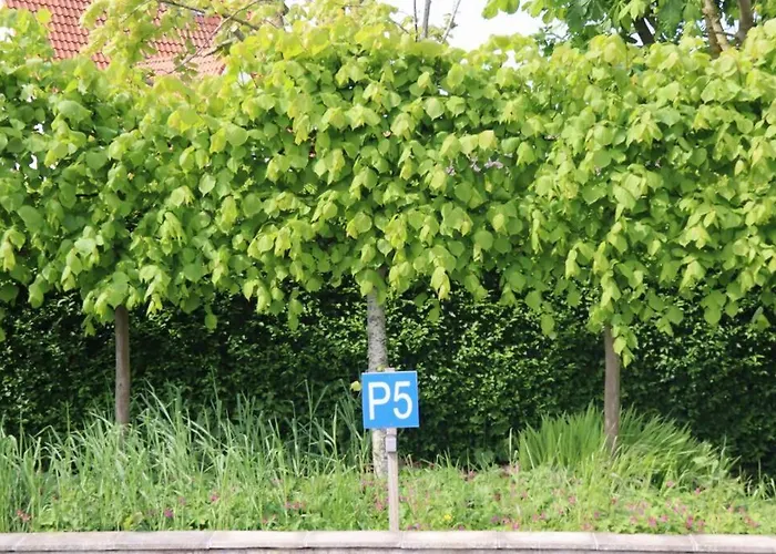 App Op Steenworp Golf&strand * 데한